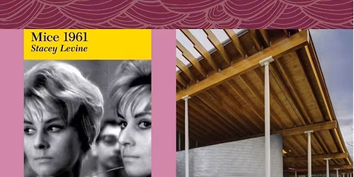 Author Talk: Stacey Levine discusses "Mice, 1961"