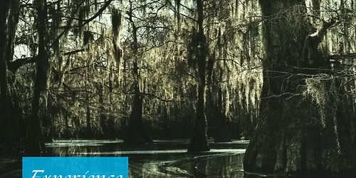 Murder Mystery: Bones in the Bayou