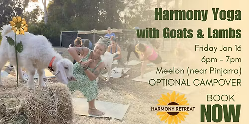 Harmony Yoga - with Goats and Lambs