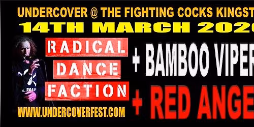Radical Dance Faction, Bamboo Vipers, Red Anger Go Undercover in Kingston