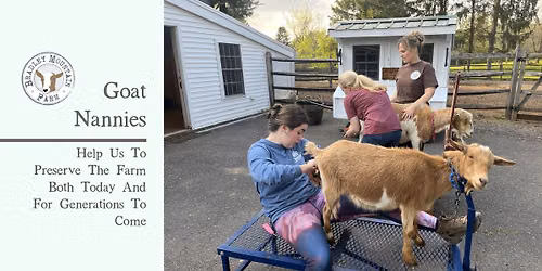 Goat Nannies