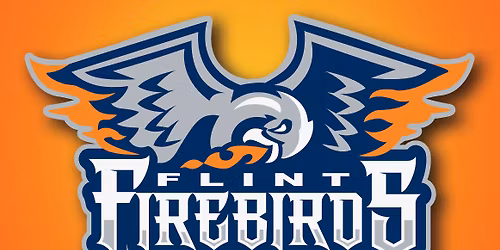 Flint Firebirds Game