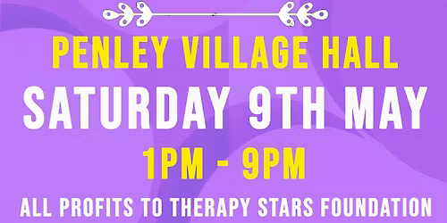 Charity Day Therapy Stars Foundation