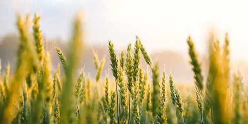 Writer's Breakfast: Dr. Linda Ray Hall-Searight - I Am God's Property