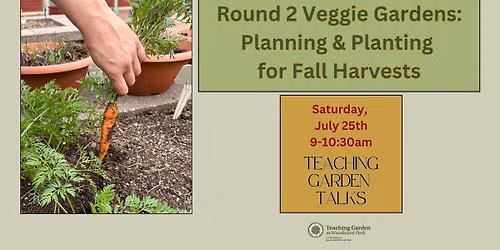 Round 2 Veggie Gardens: Planning & Planting for Fall Harvests