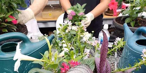 Summer Container $45.00 +tax