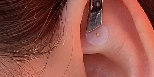 Ear Seed Tasters