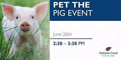 Pet the Pig