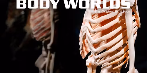 Body Worlds Exhibition - for teens + tweens
