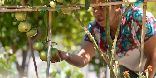 Urban Milpa \u2013 Garden Maintenance | Free with RSVP