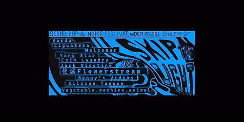 Skip the Light: Sound, Pop and Noise festival