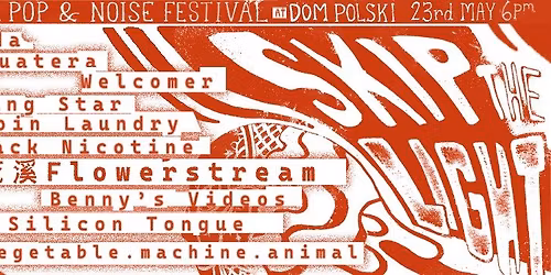 Skip the Light: Sound, Pop and Noise festival