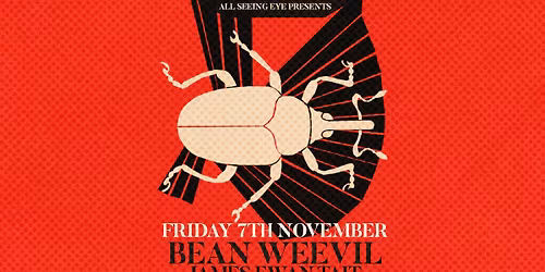 Bean Weevil + James Ewan Tait