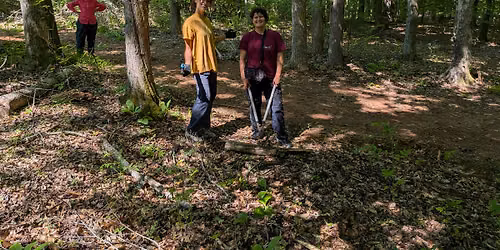 Stewardship Workday: Tree of Heaven Removal at the Confluence