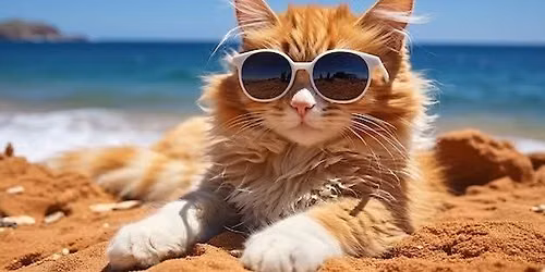 Aloha-Meow Luau Adoption Event