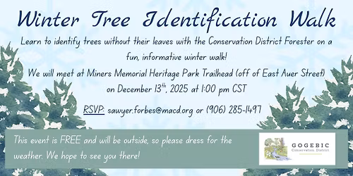 Winter Tree ID Walk
