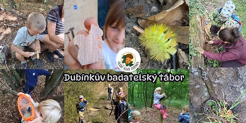 2. turnus - Dub\u00ednk\u016fv badatelsk\u00fd t\u00e1bor \ud83c\udf32\ud83d\udd0d