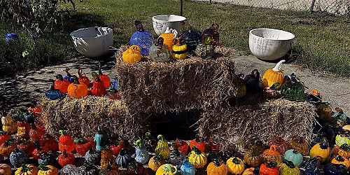 Gourdgeous Glass Gourds Are Back!