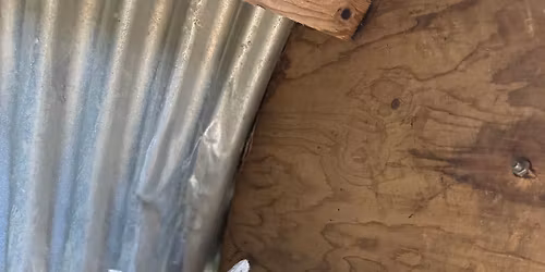 Spring open day & produce sale