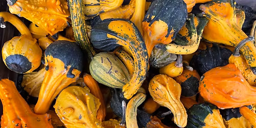 Amethyst & Sage November Gathering 