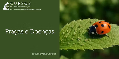 Pragas e Doen\u00e7as