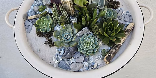 Open succulent terrarium