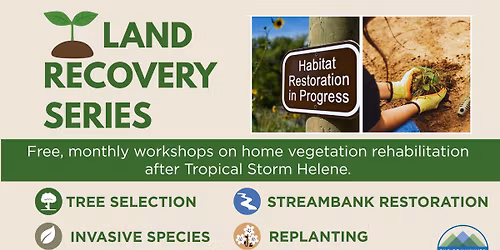 Land Recovery Series - Replanting in Storm-Damaged Areas with Meadows and Native Grasses