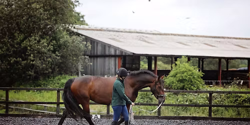 EquiStable\u2122Physio Led-In Hand Polework Clinic