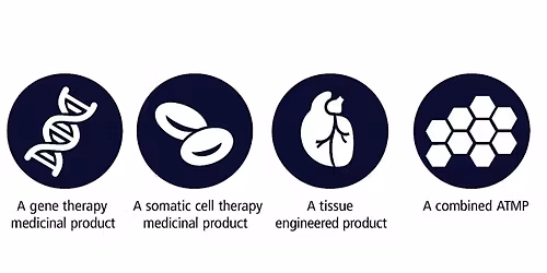 Advanced Therapies in Rare Disease: An Introduction