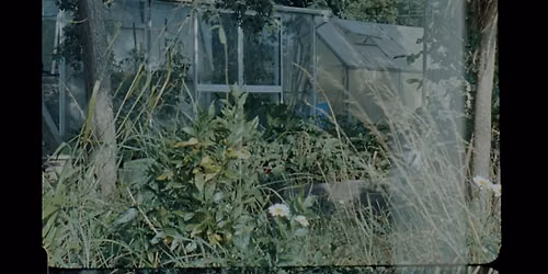 Experimental Filmmaking