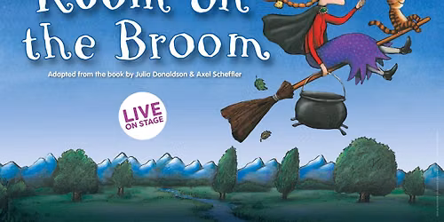 Room on the Broom\ud83e\uddf9