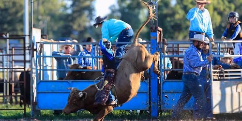 Singleton Rodeo 2026