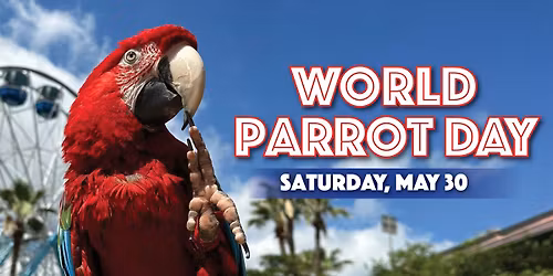 World Parrot Day