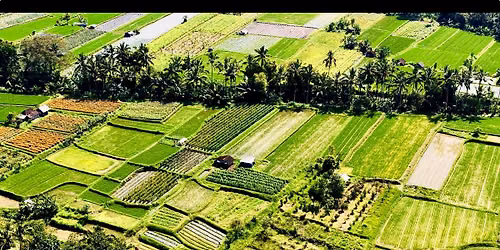 Bali 2025