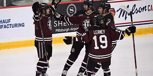 St Lawrence Saints at Union College Garnet Chargers Mens Hockey at M and T Bank Center Schenectady