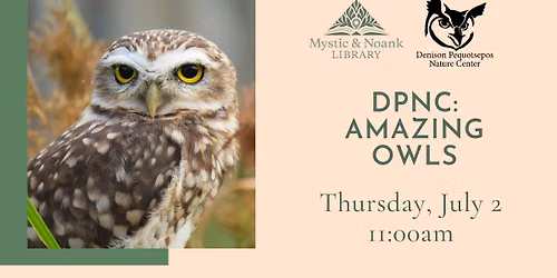 DPNC: Amazing Owls