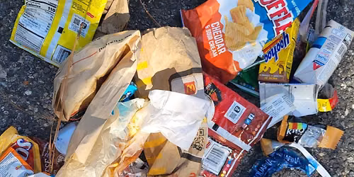 Lexington Terrace Park Cleanup