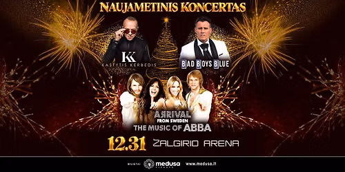 NAUJAMETINIS KONCERTAS | KASTYTIS KERBEDIS_BAD BOYS BLUE_ARRIVAL from Sweden_Zalgirio Arena_12 31