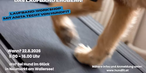 "Pawsitive Motion" \u2013 Spielerisch das Laufband erobern