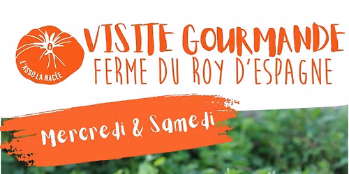 atelier gourmand : r\u00e9alisation d'un pesto \u00e0 d\u00e9guster ensemble 