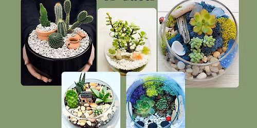 Terrarium Workshop with Succulents or Cacti