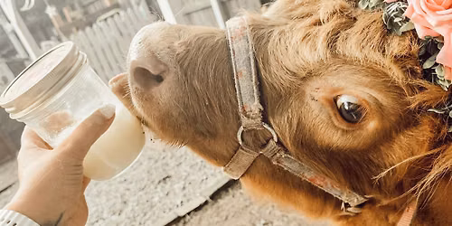 Hot Goat Summer-Slushies & Farm Snuggles