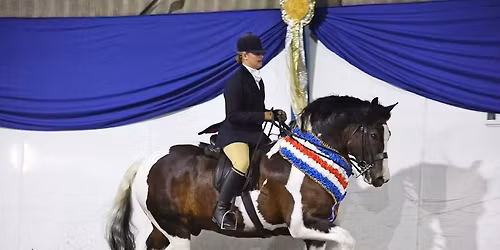 Selston Equestrian Centre - Supreme Gala & Pre-HOYS Show