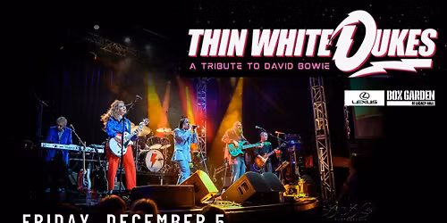 David Bowie Tribute | Thin White Dukes