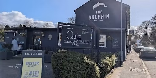 The Dolphin 