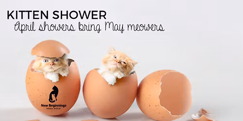 Happy Hour Kitten Shower