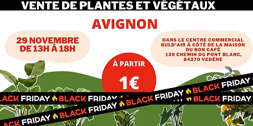 AVIGNON - Végétaux et Plantes à partir de 1€ by Plantes Addict
