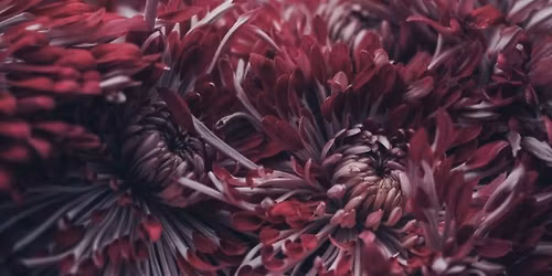 Wise Women in Menopause Retreat, Victoria