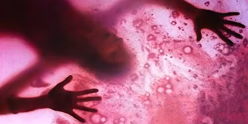 Goremet Cinema Gang Presents: The Blob (1988)