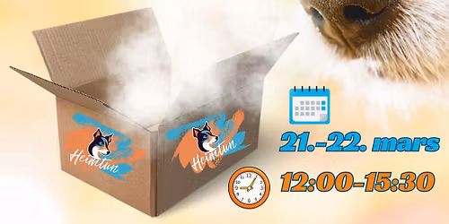 Nosework nybegynner kurs